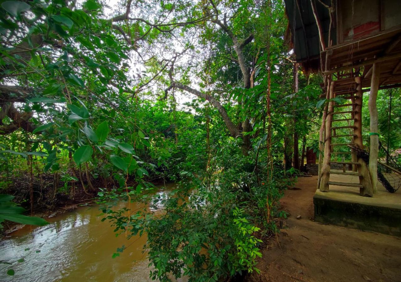 Sigiriya River Side Villa Exteriér fotografie