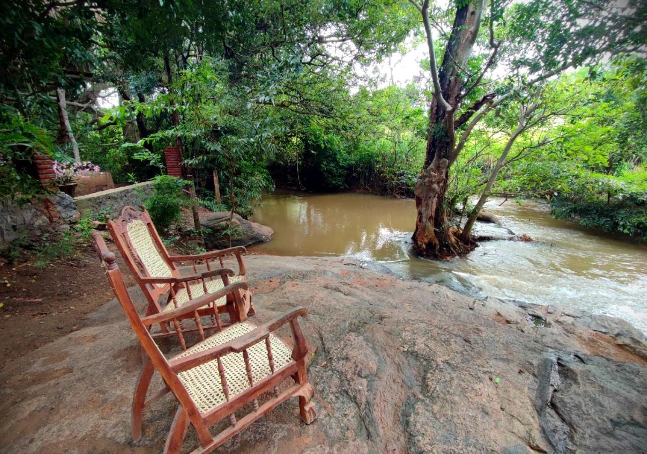 Sigiriya River Side Villa Exteriér fotografie