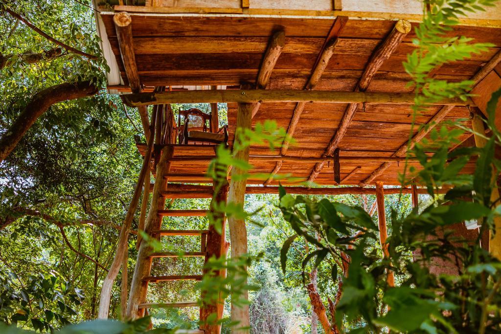 Sigiriya River Side Villa Exteriér fotografie