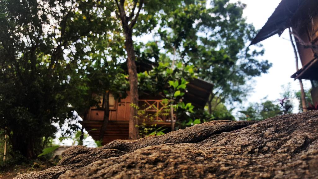 Sigiriya River Side Villa Exteriér fotografie